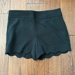 Loft Riviera Shorts